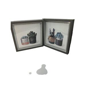 2 Succulent Pictures Gray Shadow Box Frame